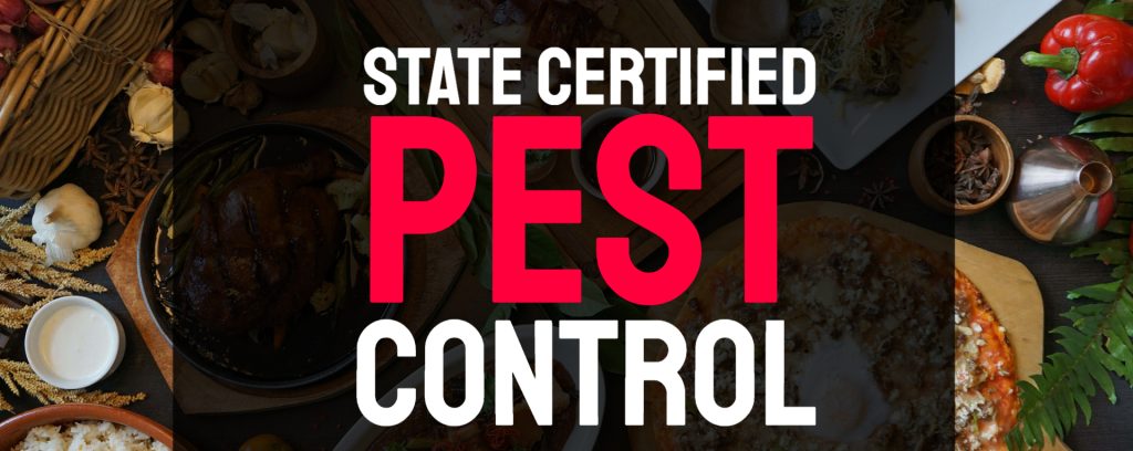 Top State Certified Pest Control Companies Nationwide